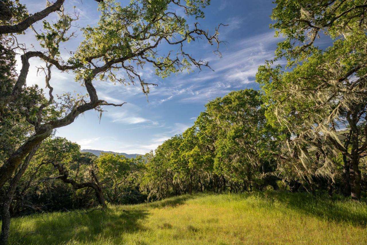 The Camp At Carmel Valley Eksteriør billede
